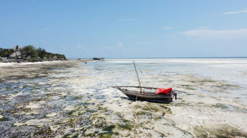 Dhow with a red cover on the reef at low tide, with the shore behind