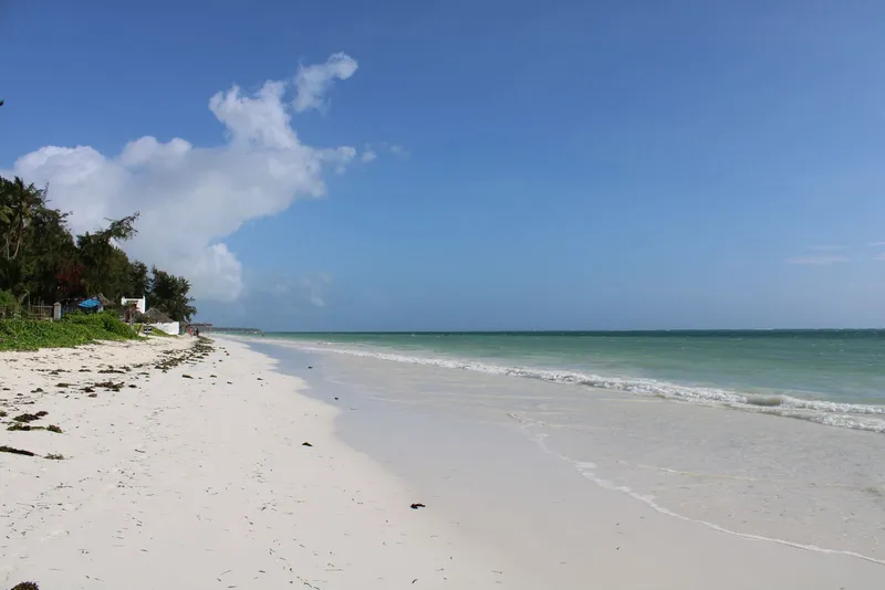 Empty white-sand beach and blue sea under a clear sky