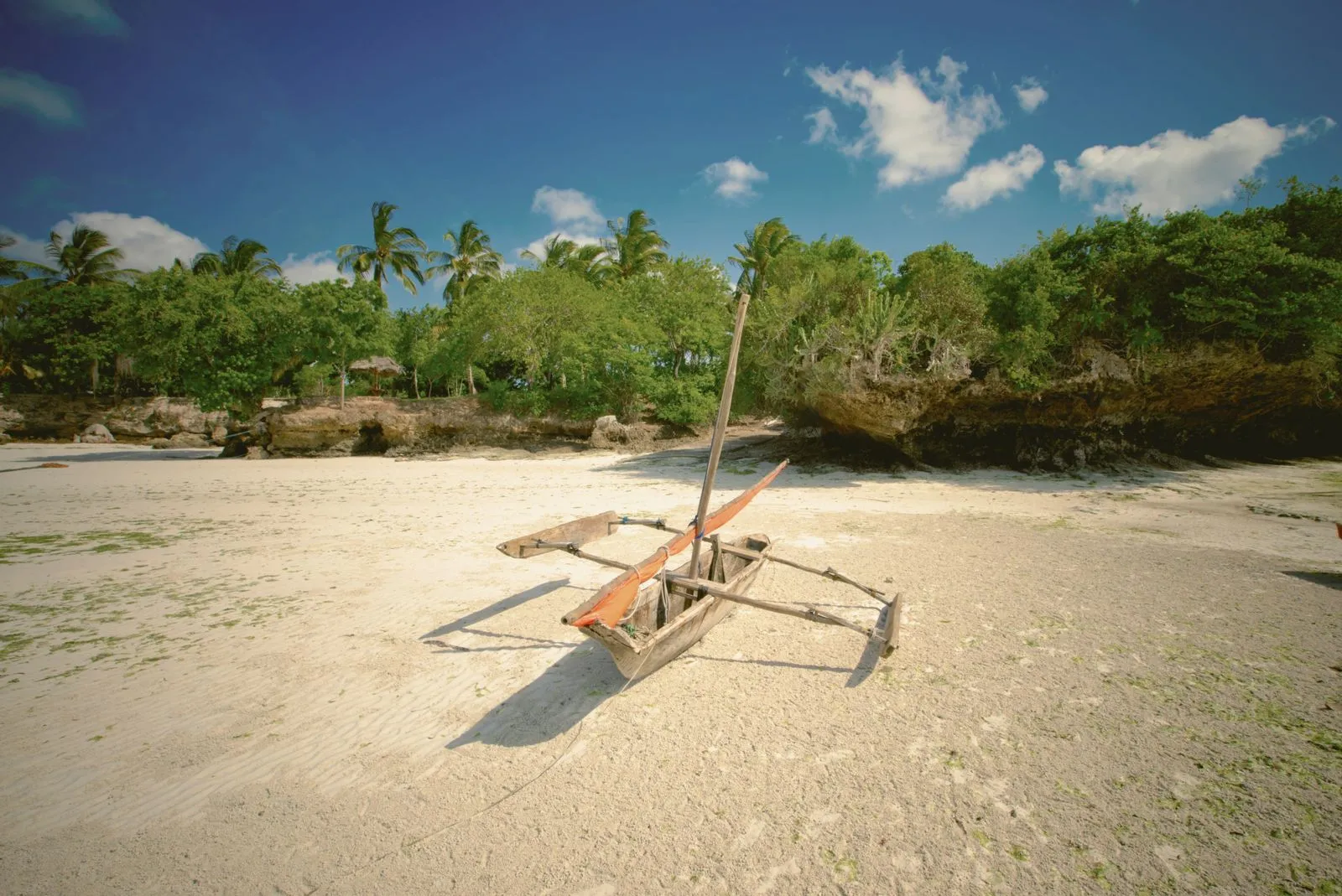 Wooden outrigger canoe on a sandy beach with palms and bush behind