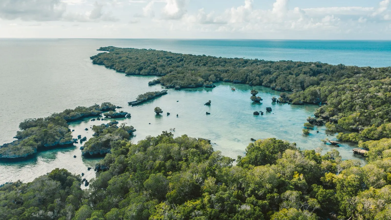 Aerial view of a forested coast and lagoon with small rock islets in Zanzibar