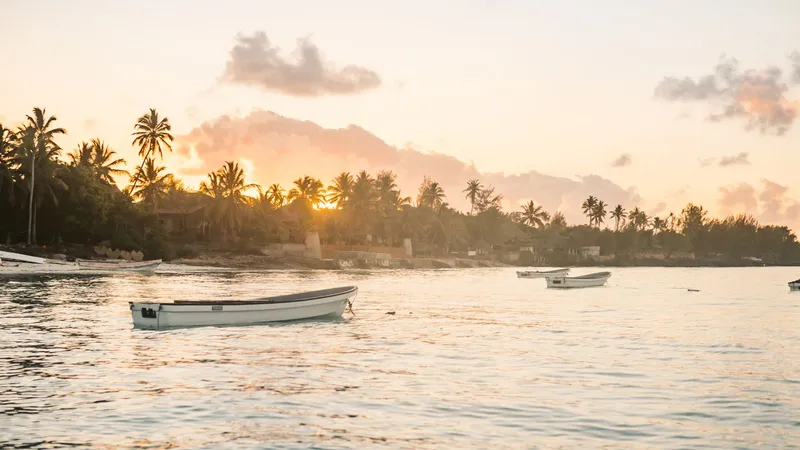 Small boats on calm water at sunset with a line of palm trees behind
