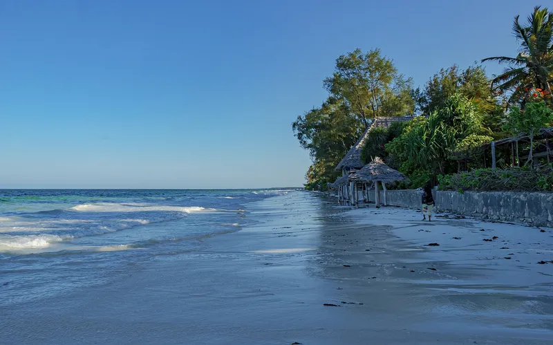 Quiet stretch of Nungwi beach in morning light, with thatched shelters under the trees