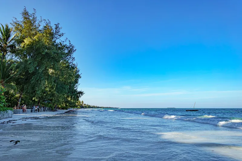 Waves along Nungwi beach, with casuarina trees and a dhow offshore