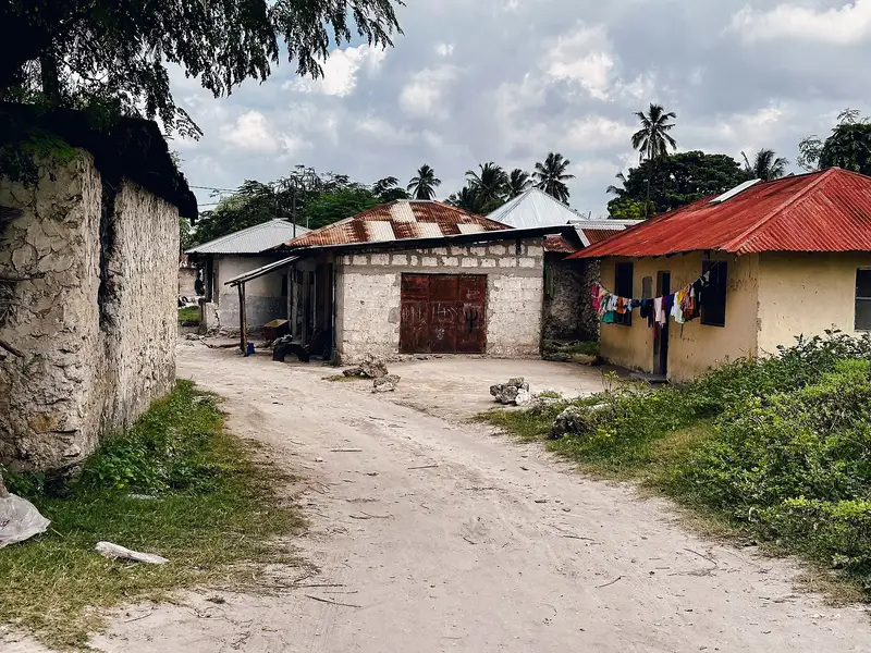 Sandy lane between coral-stone houses with tin roofs in Matemwe
