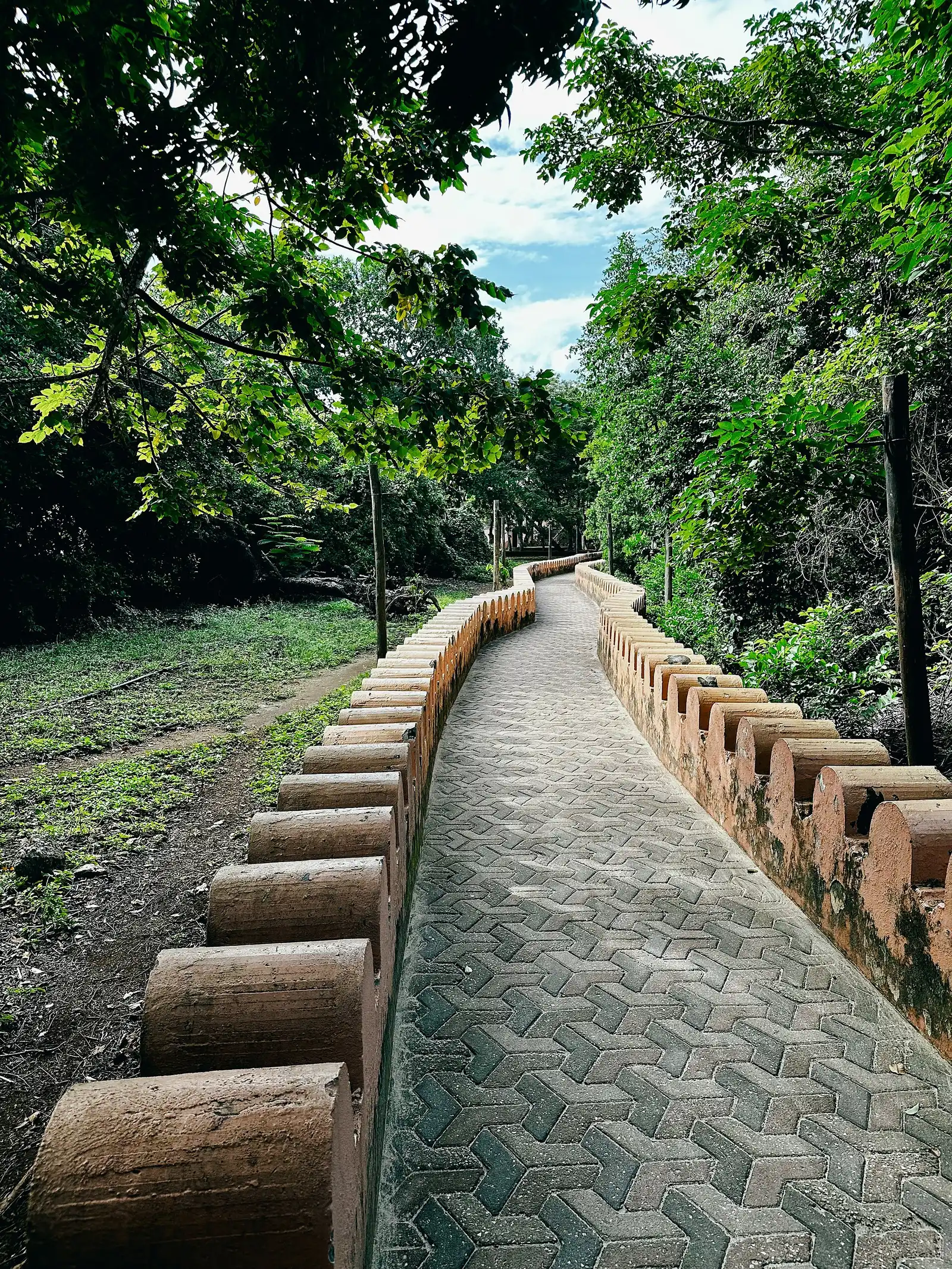 Paved path beside a low crenellated wall through the trees on Changuu (Prison Island)