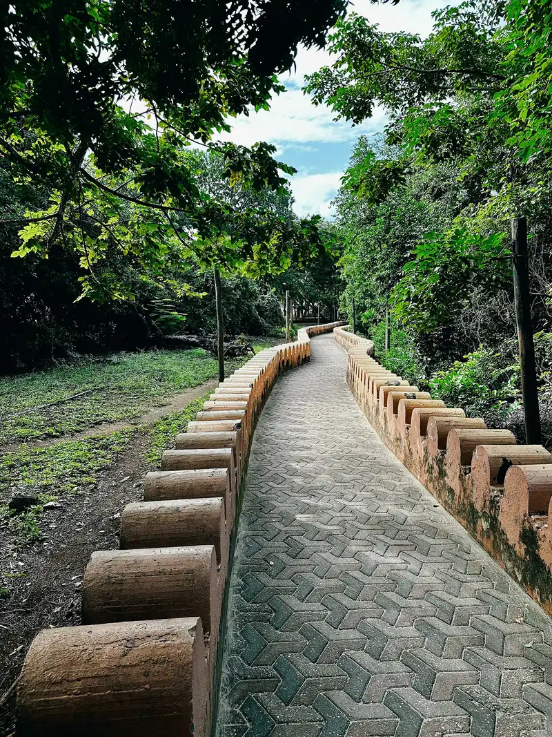 Paved path beside a low crenellated wall through the trees on Changuu (Prison Island)