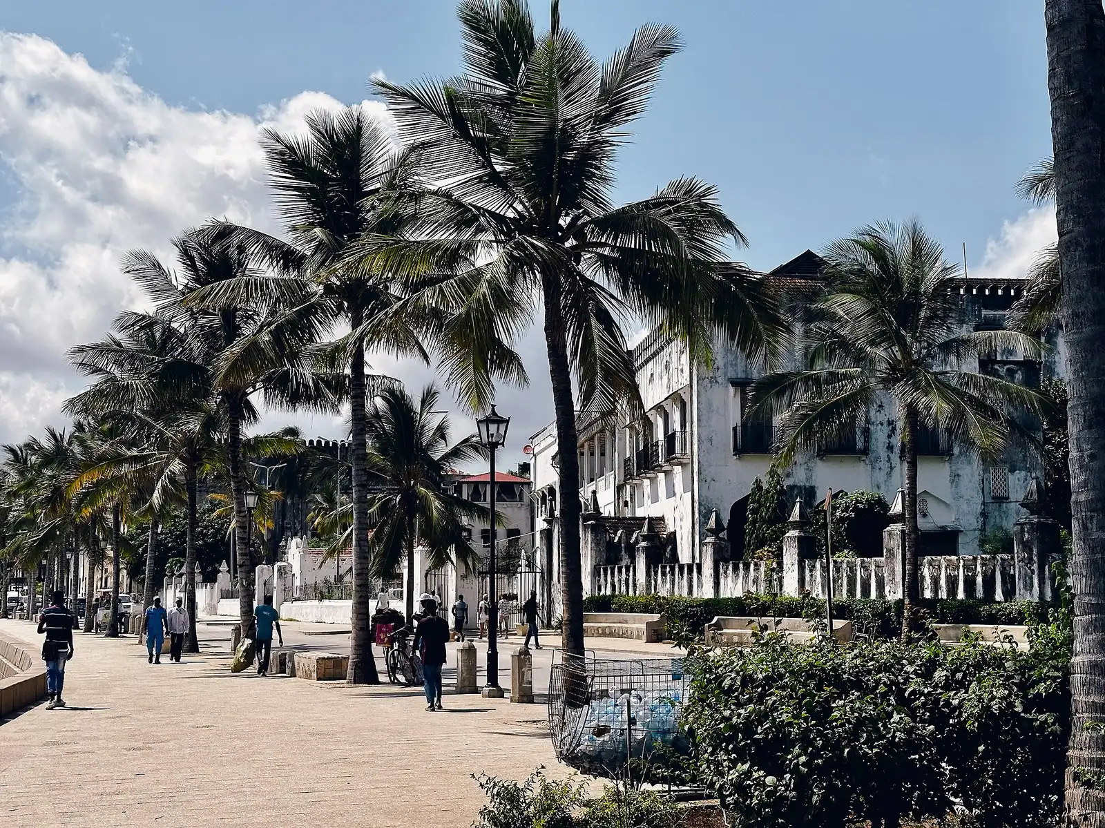Palm-lined seafront promenade beside the old buildings of Stone Town
