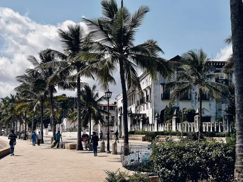Palm-lined seafront promenade beside the old buildings of Stone Town