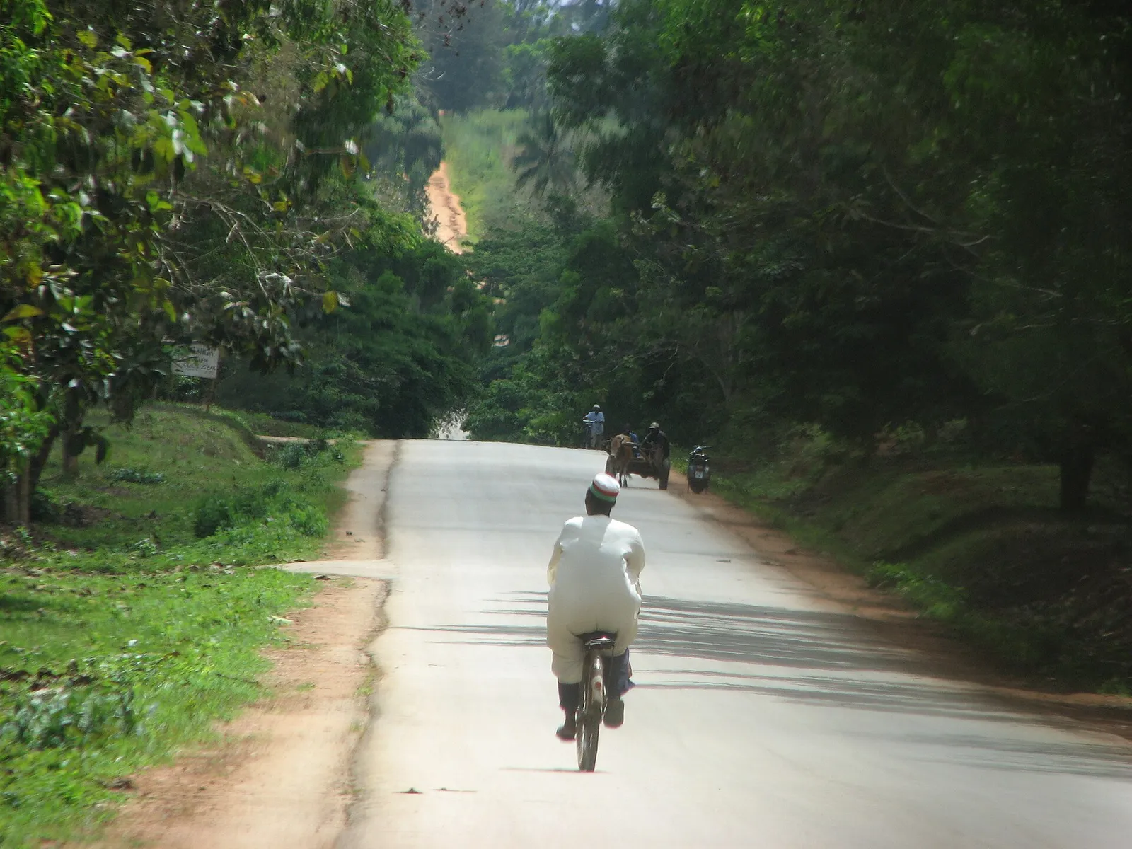 Tree-lined country road in Zanzibar with a cyclist riding away