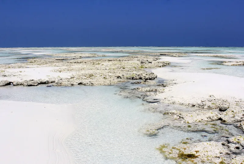 Coral flats and clear tide pools at low tide near Nungwi