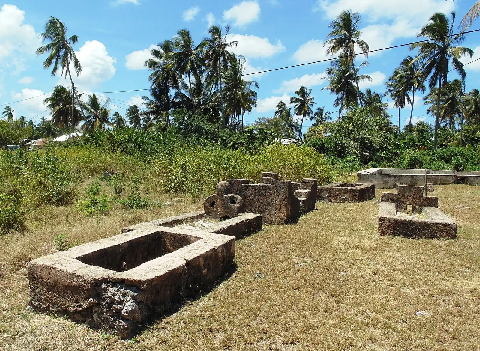 Old coral-stone tombs in the grass beside the Kizimkazi mosque, palms behind