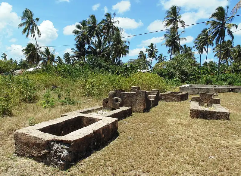 Old coral-stone tombs in the grass beside the Kizimkazi mosque, palms behind