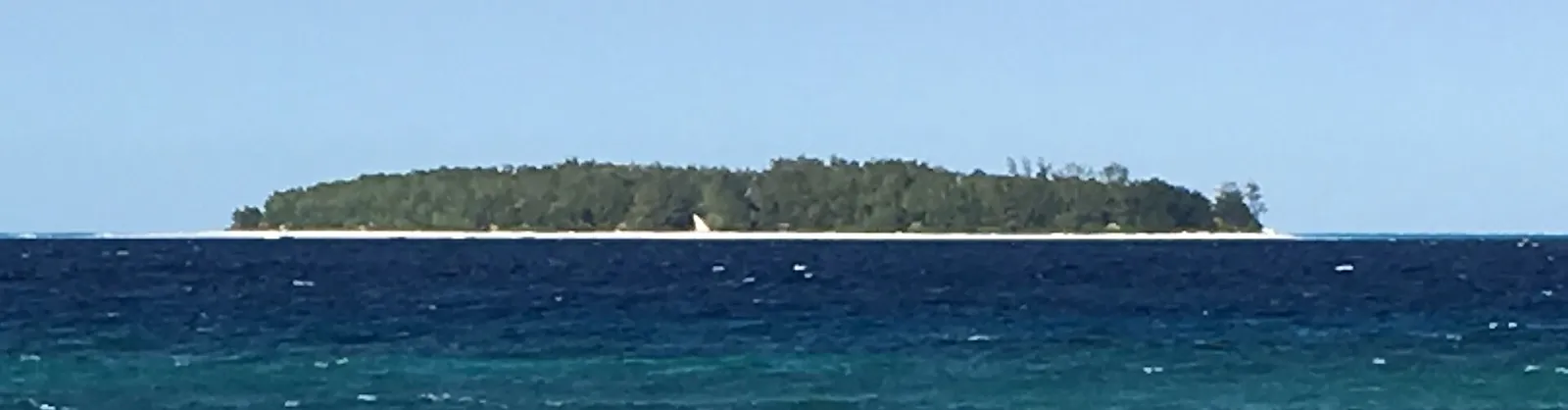 Mnemba Island seen from across the water, a low wooded island ringed by white sand