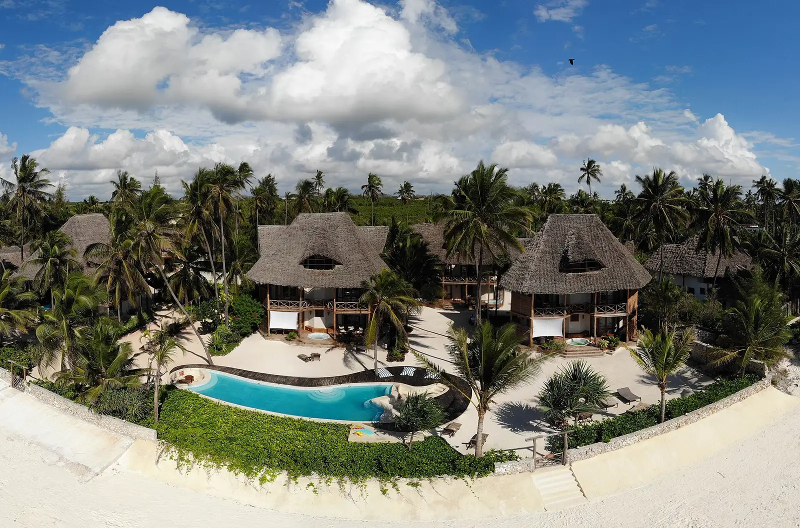 Aerial view of a thatched beach hotel with a pool among palm trees on the Zanzibar coast
