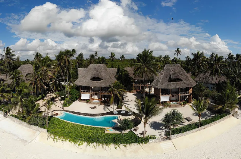 Aerial view of a thatched beach hotel with a pool among palm trees on the Zanzibar coast